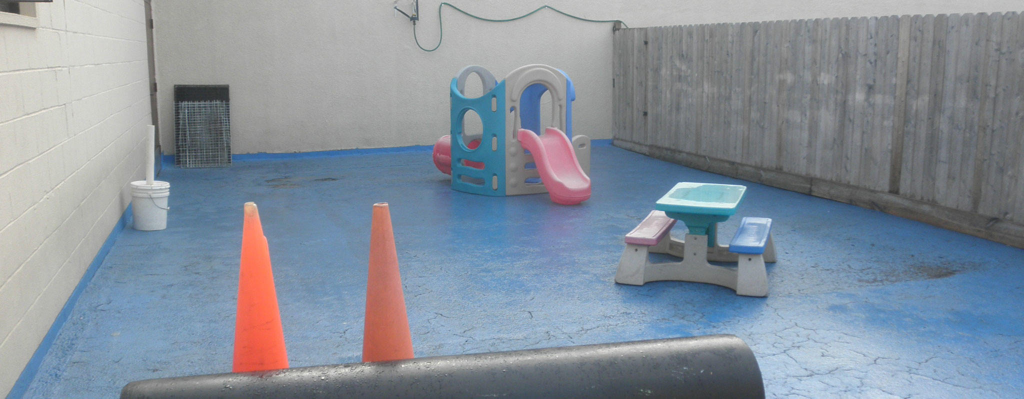 The Outdoor play area at SoBo Dog Daycare in Locust Point